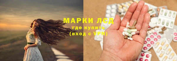 PSILOCYBIN Баксан