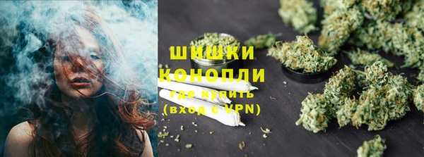 PSILOCYBIN Баксан