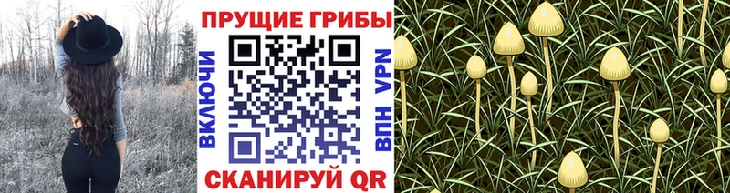 Галлюциногенные грибы MAGIC MUSHROOMS  Лебедянь 